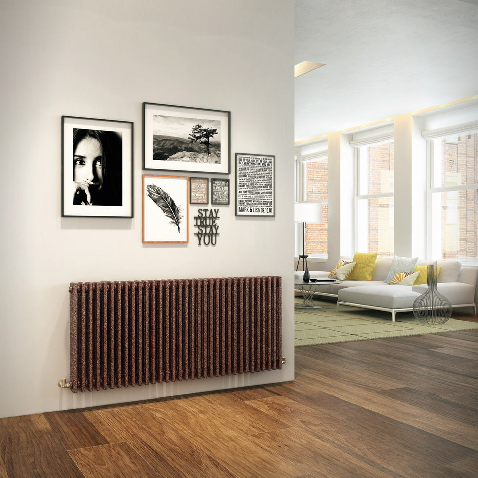 DQ Heating Modus Horizontal 2 Column Radiator | Made to Order