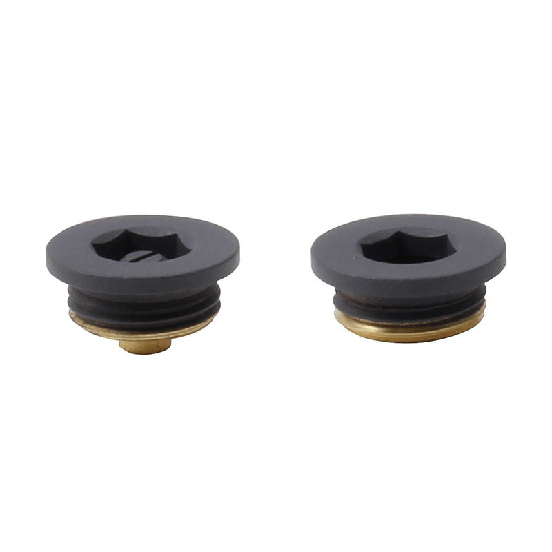 DQ Heating Radiator Plug And Vent